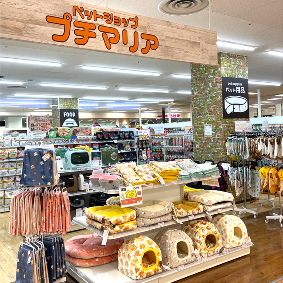 サービスイメージ